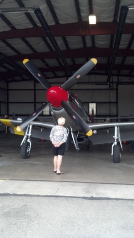 P51 in hangar