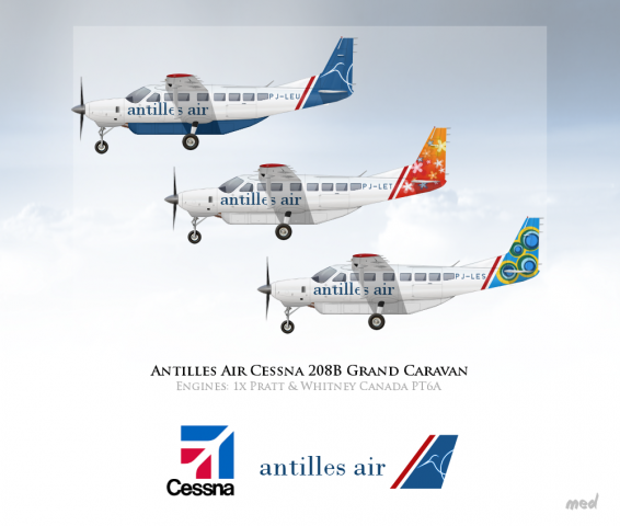 Antilles Air Fleet Cessna 208