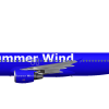 Summer Wind A320