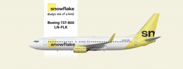 snowflake Boeing 737-800