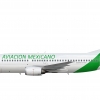 AVIACION MEXICANO Boeing 737 300