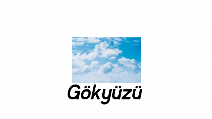 Gokyuzu alliance logo 3.png