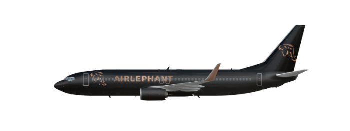 Boeing 737-800 (1).png