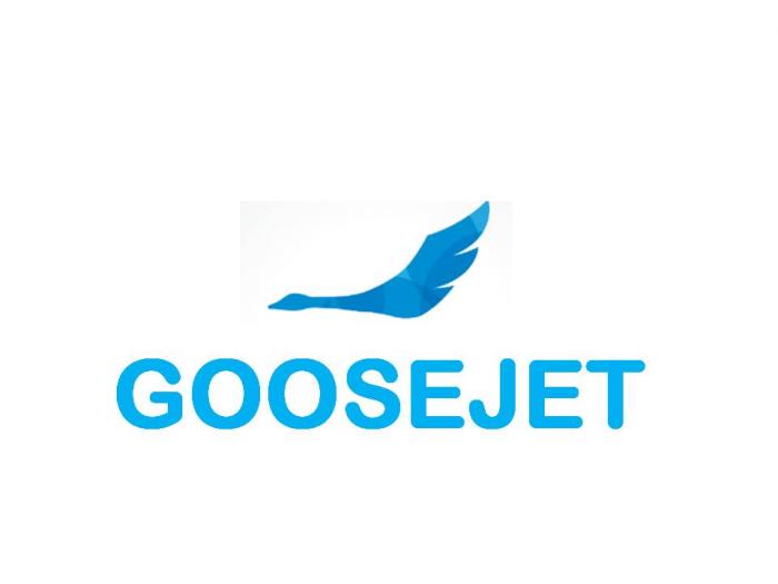 New GooseJet Logo.jpg