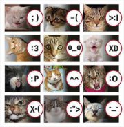 Wahyu Wibisana's Photo
