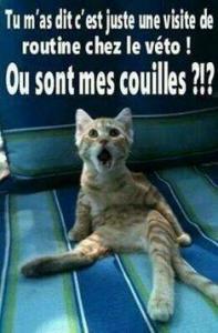 Un Réacteur's Photo