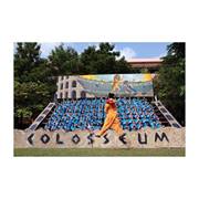 O K D olo's Photo