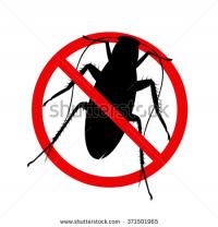 Infestation's Photo