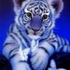 NEW ALLIANCE CREATED - last post by Asish