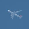 Flash! Sandbox airline. - last post by Planespotterindia