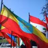Ethiopian Airlines's Photo
