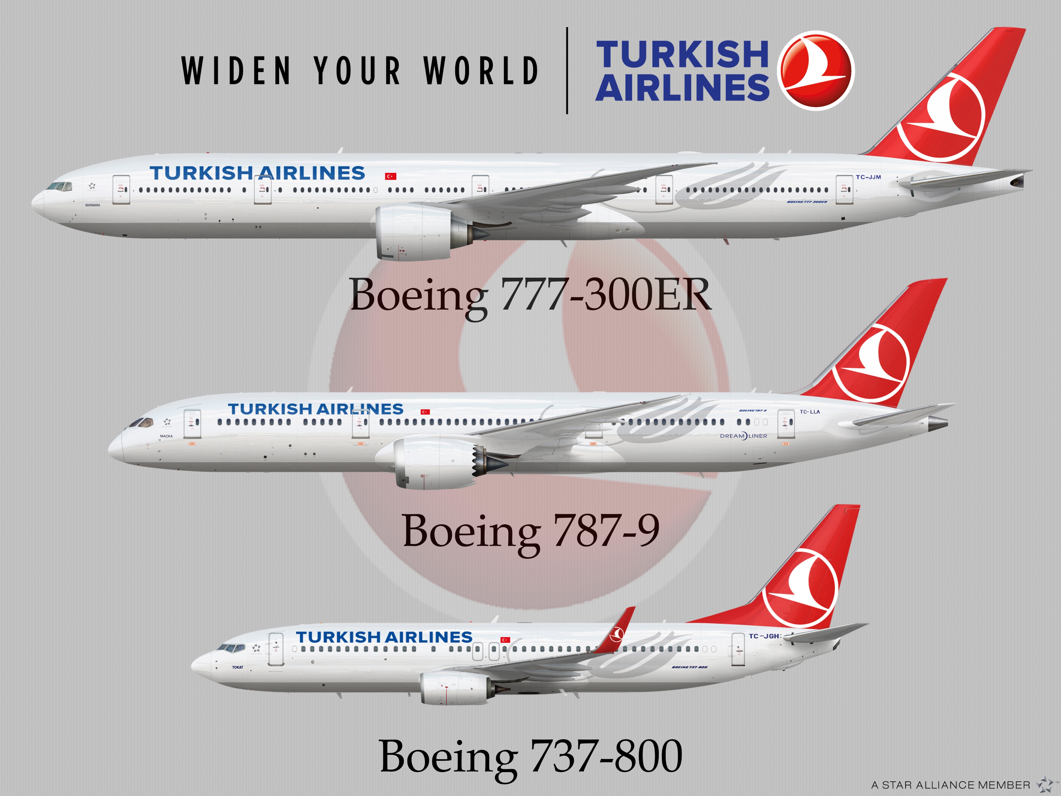 Турецкая авиакомпания сайт. Boeing 777-300 турецкие авиалинии. Боинг 737 турецкие авиалинии. Боинг 747 турецкие авиалинии. Боинг 737 800 турецкие авиалинии.